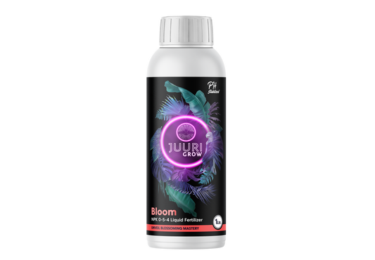 Juuri Grow - Bloom Ravinne