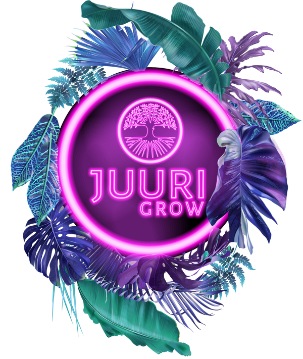 Juuri Grow