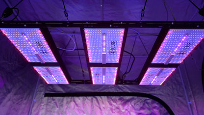 Juuri Grow - Sungrown Series 540W Grow Led